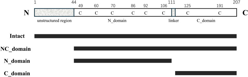 Figure 1