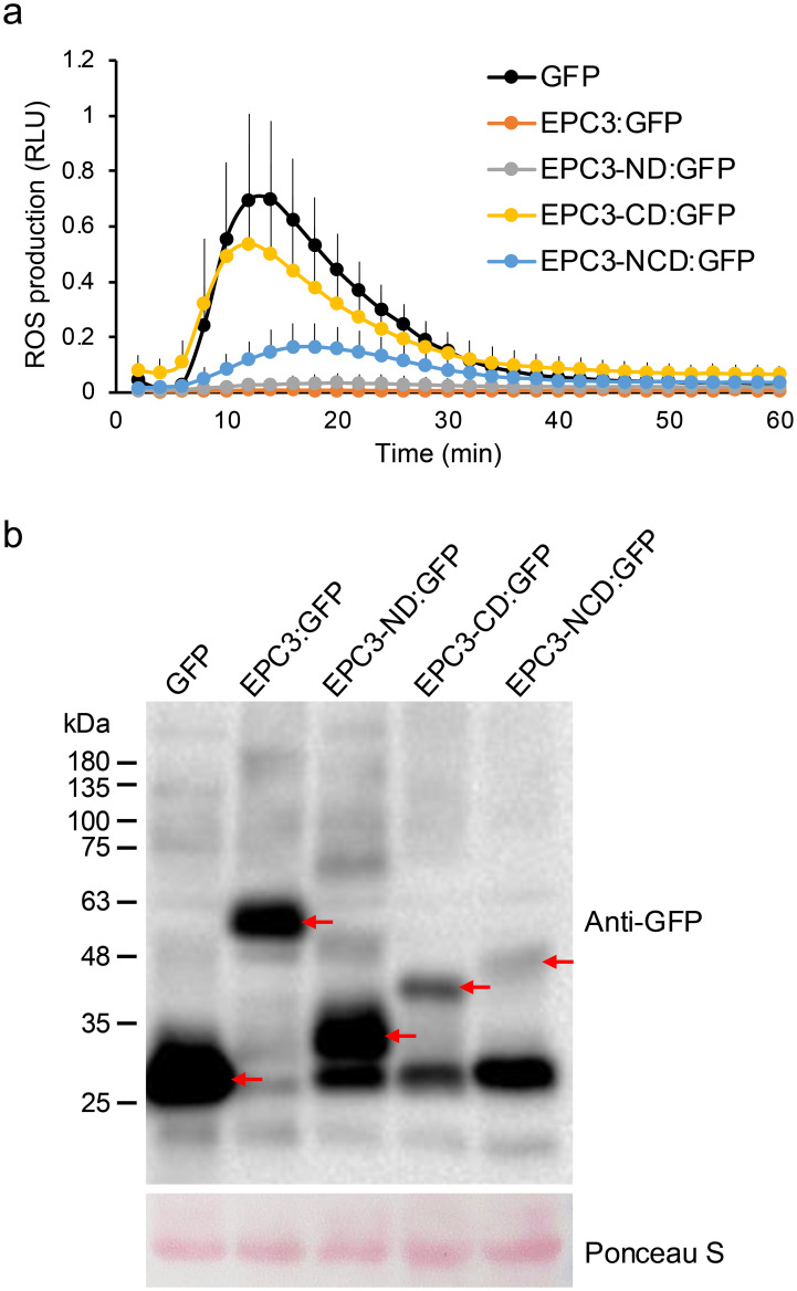 Figure 2