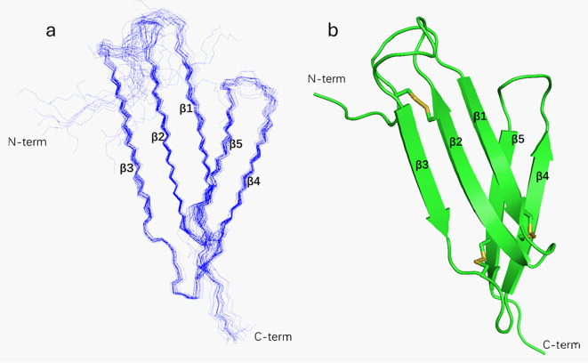 Figure 4