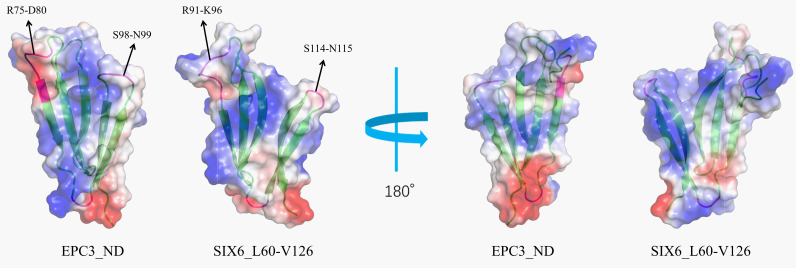 Figure 7