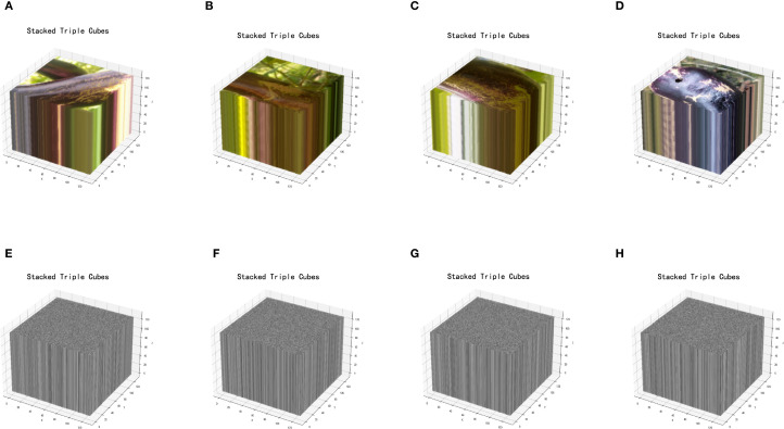 Figure 3