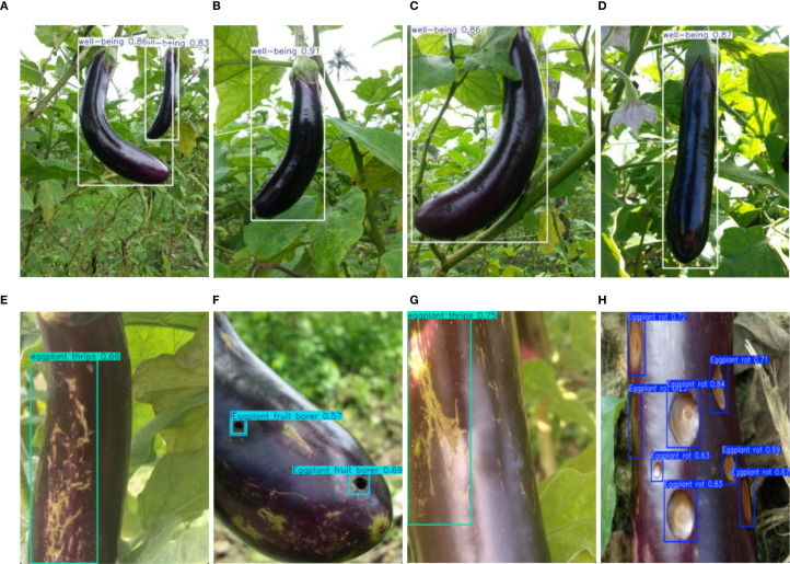 Figure 7