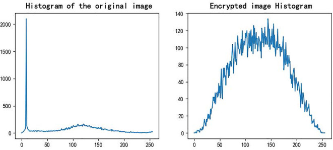 Figure 10