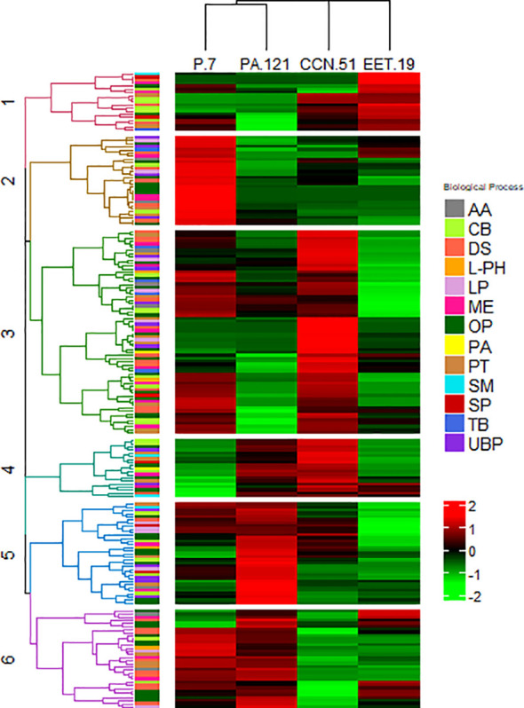 Figure 4