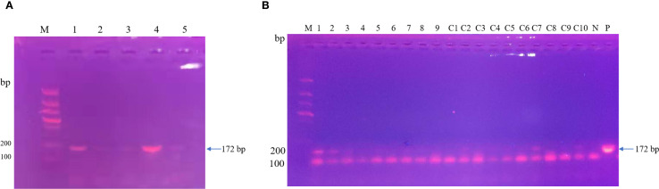 Figure 1