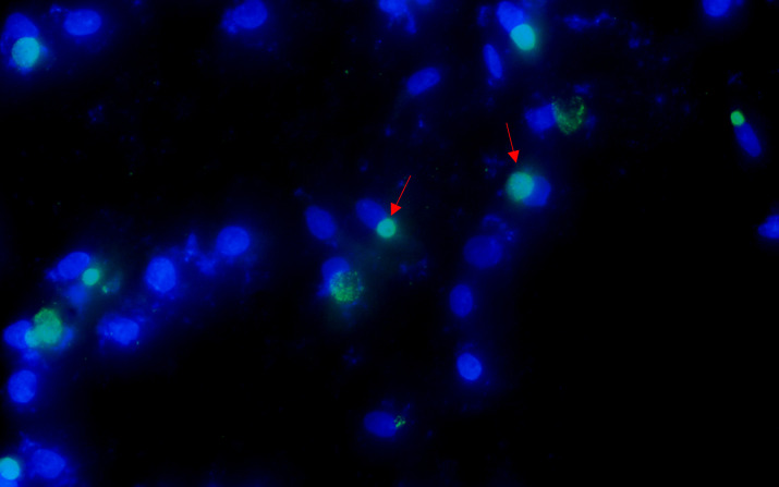 Figure 3