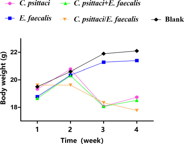 Figure 6