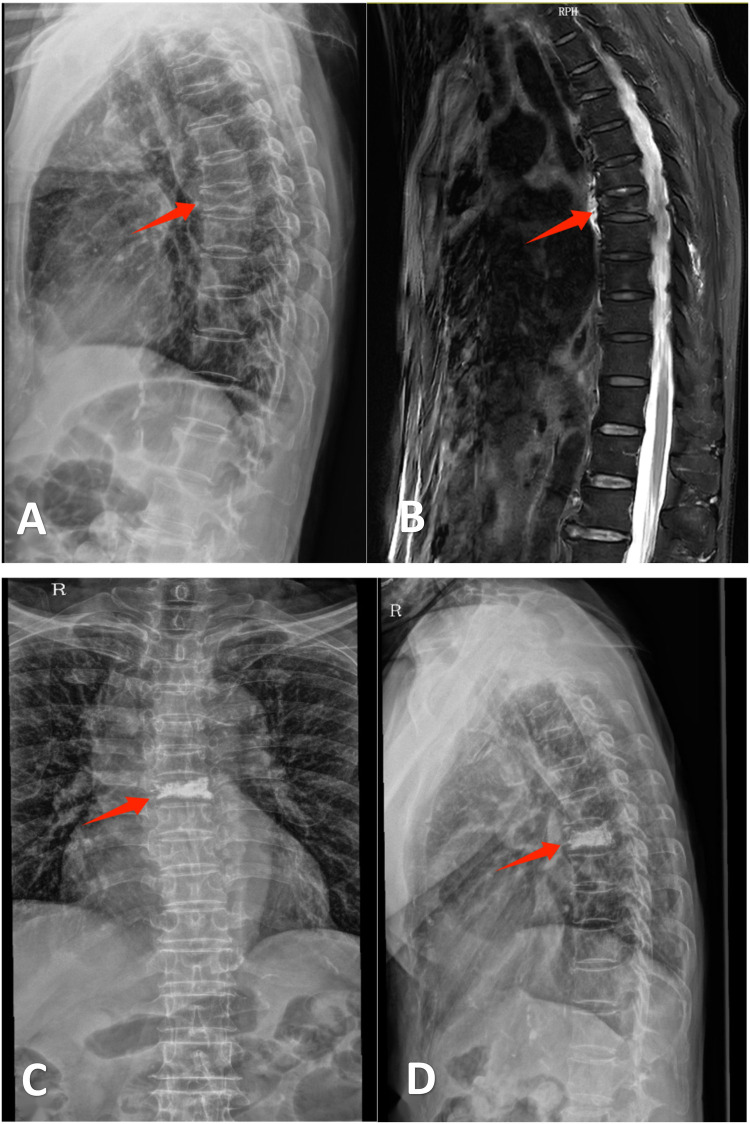 Figure 2