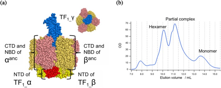 FIGURE 3