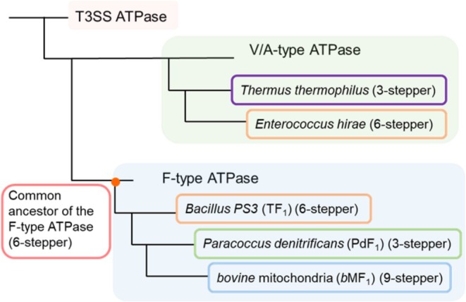 FIGURE 6