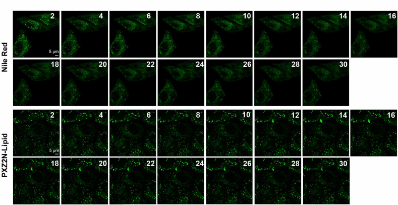Figure 10