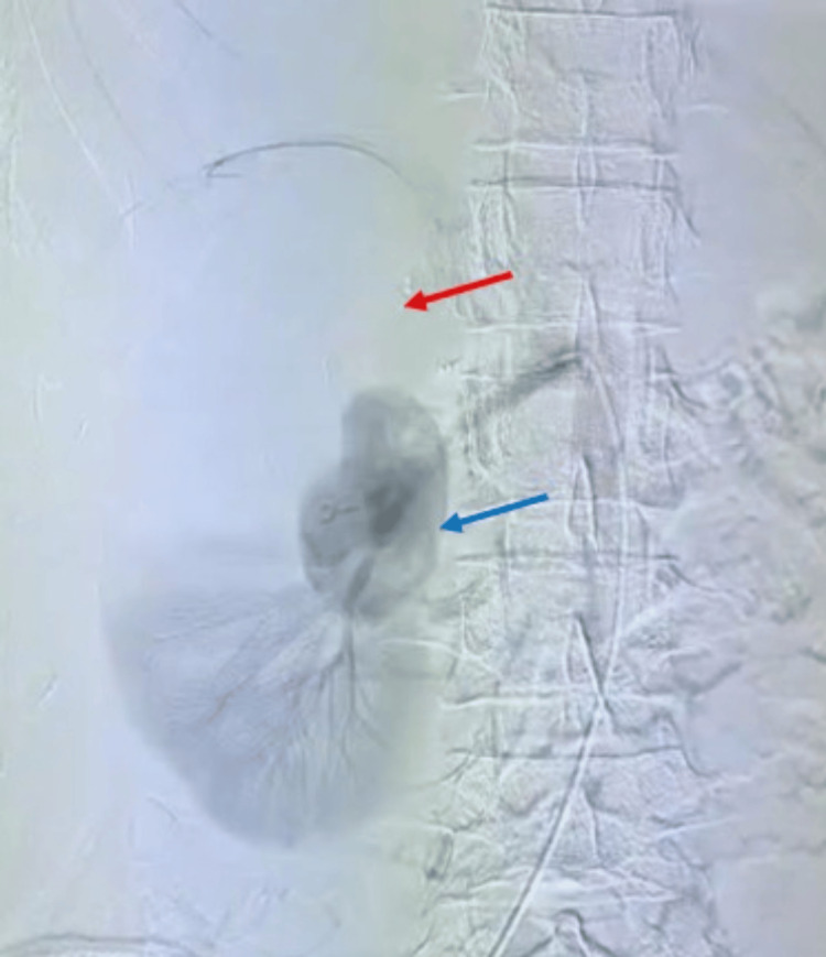 Figure 8