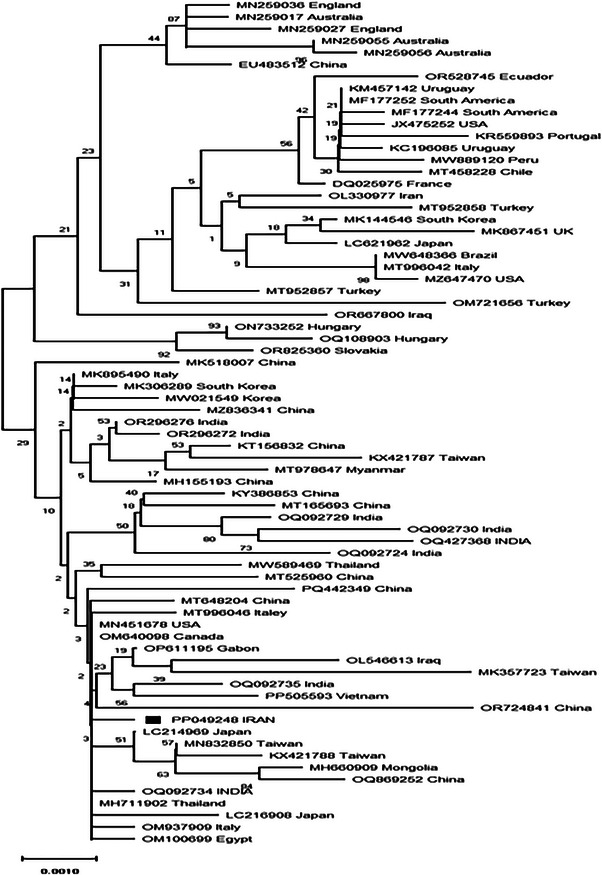 FIGURE 2