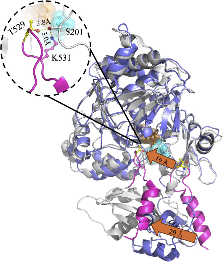 Figure S11