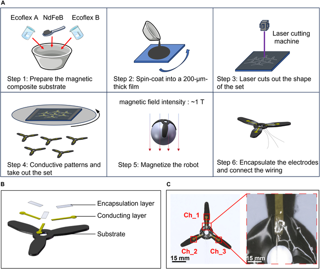 Fig. 2