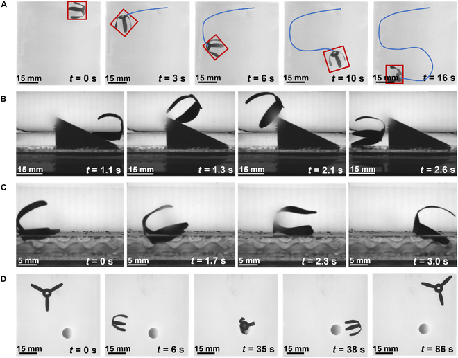 Fig. 4
