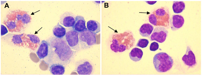 Figure 2