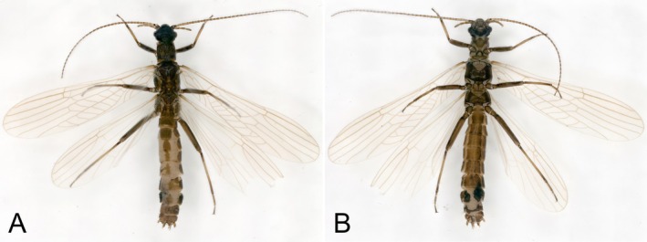 FIGURE 3