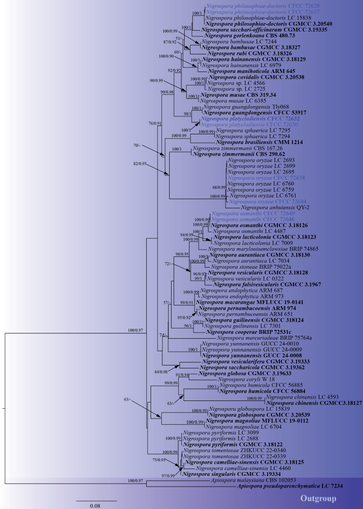 Figure 2