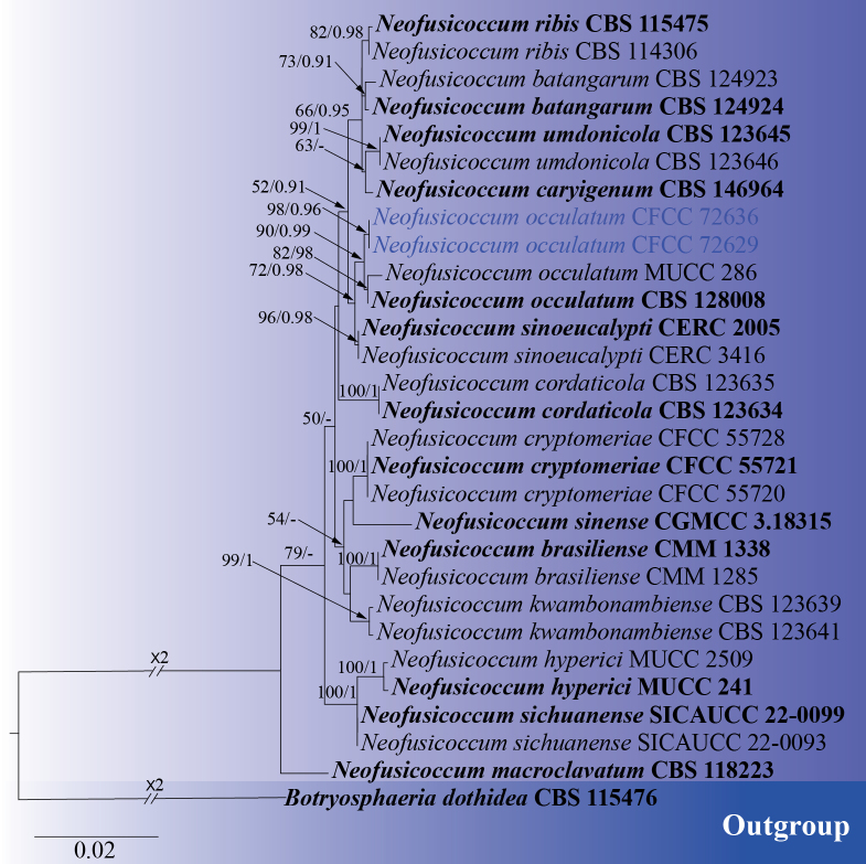 Figure 5