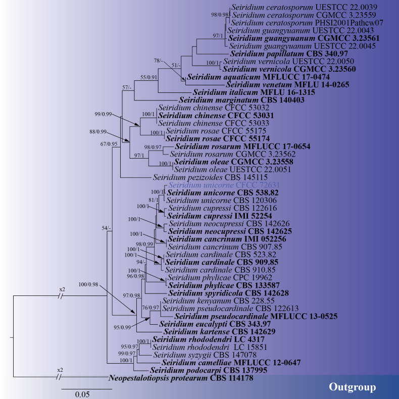 Figure 7