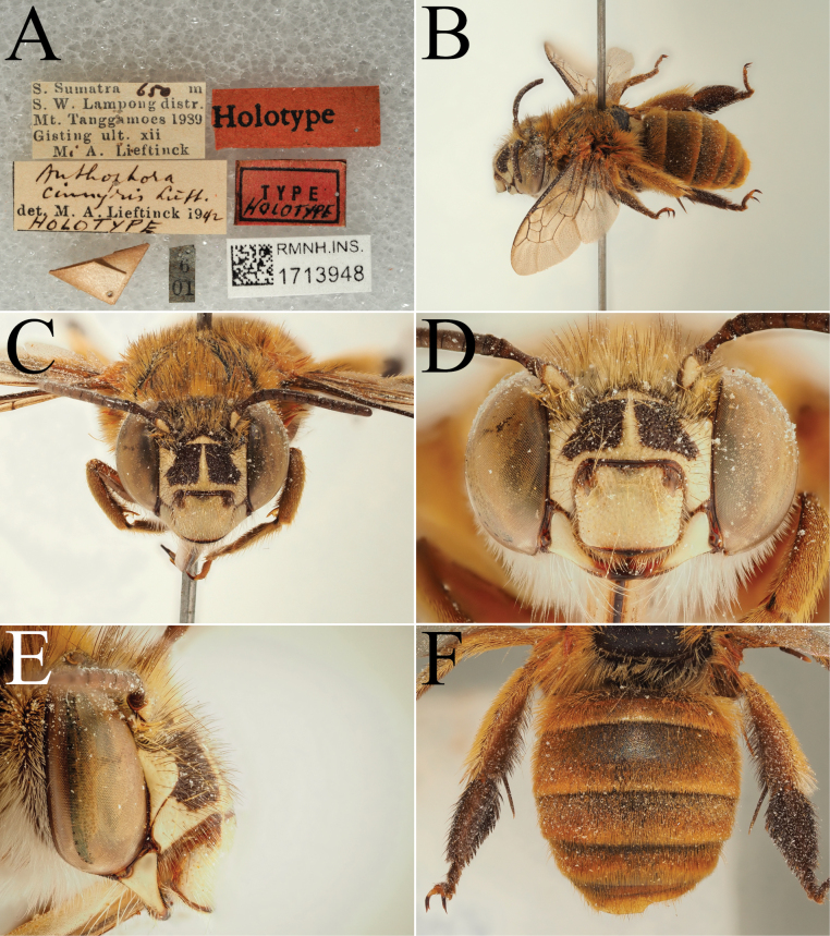 Figure 17