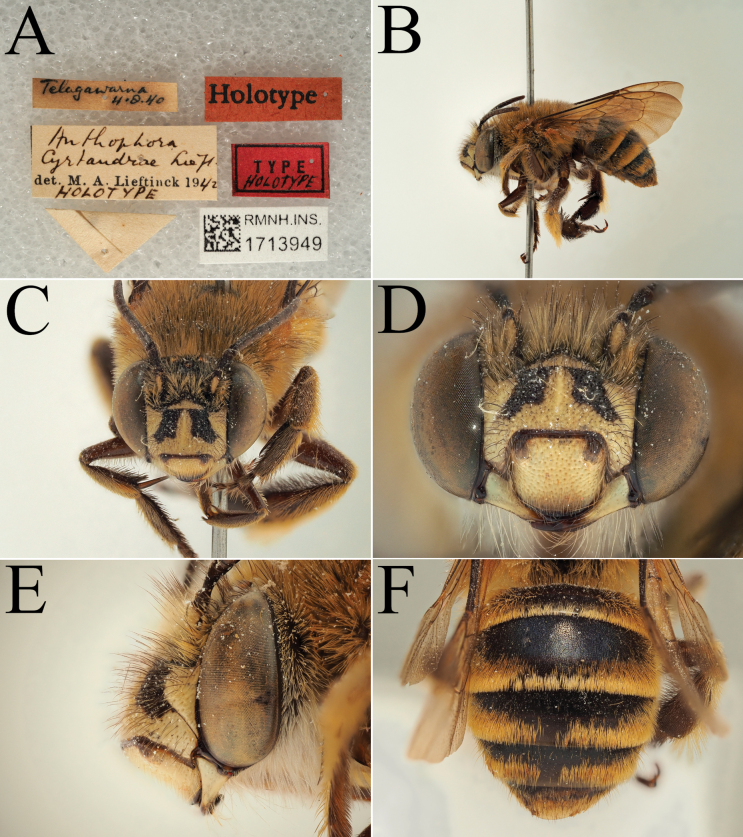 Figure 18
