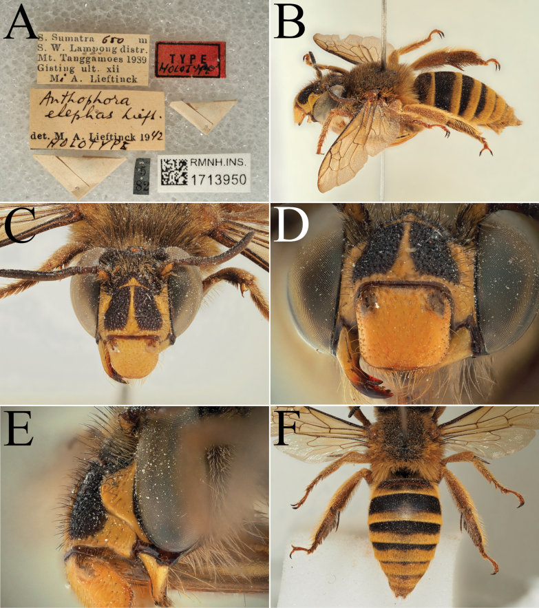 Figure 19
