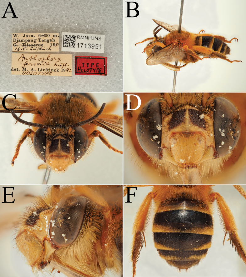 Figure 20