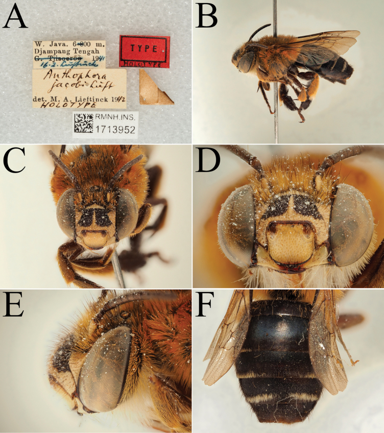 Figure 21