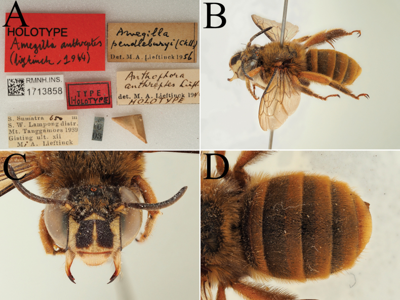 Figure 22