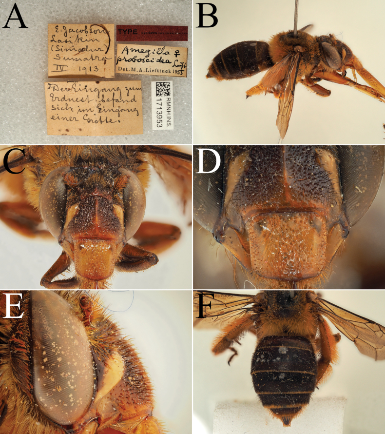 Figure 23
