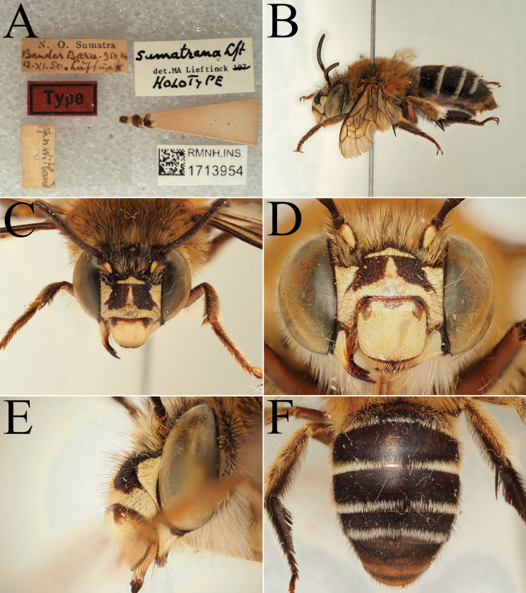 Figure 24