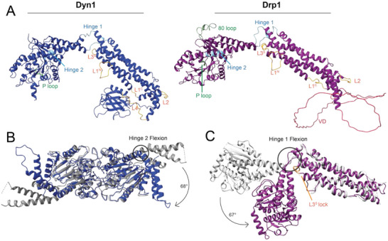 FIGURE 4