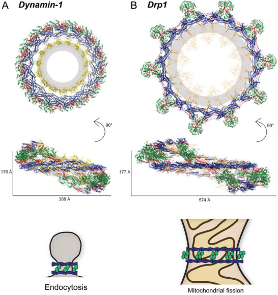 FIGURE 3