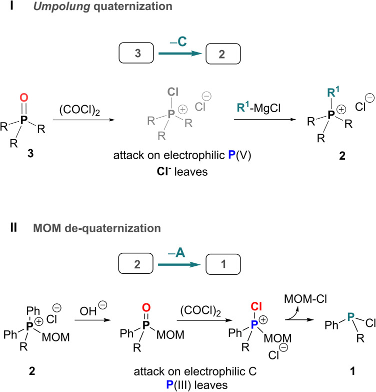 Scheme 2