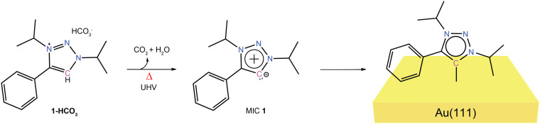 Scheme 2