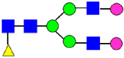 Figure 20