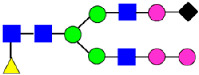 Figure 24