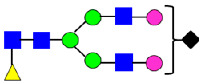 Figure 42