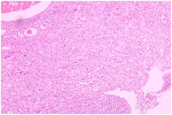 Figure 3