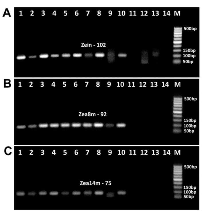 Figure 10