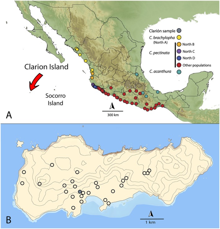 FIGURE 2
