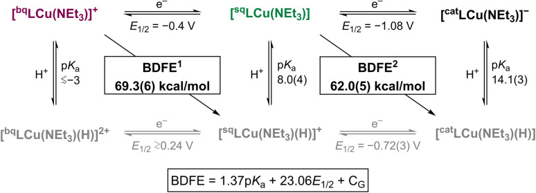 Fig. 5