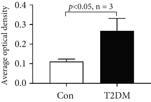 Figure 23