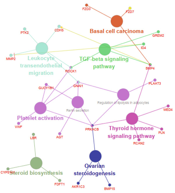 Figure 39
