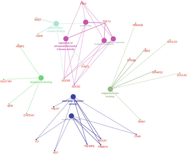 Figure 43