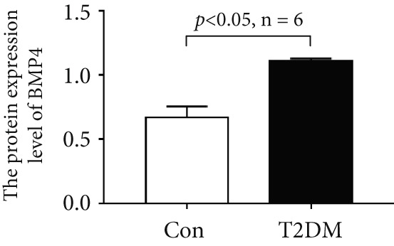 Figure 48