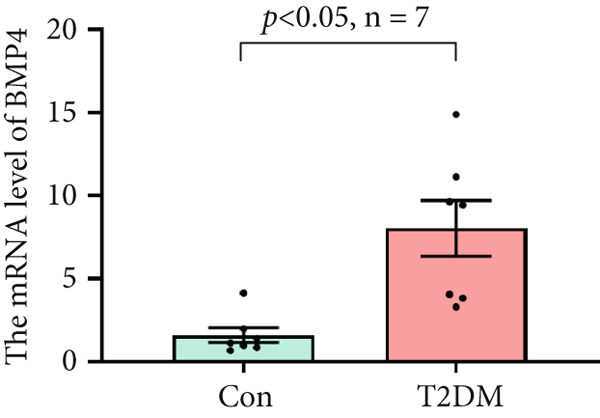 Figure 49