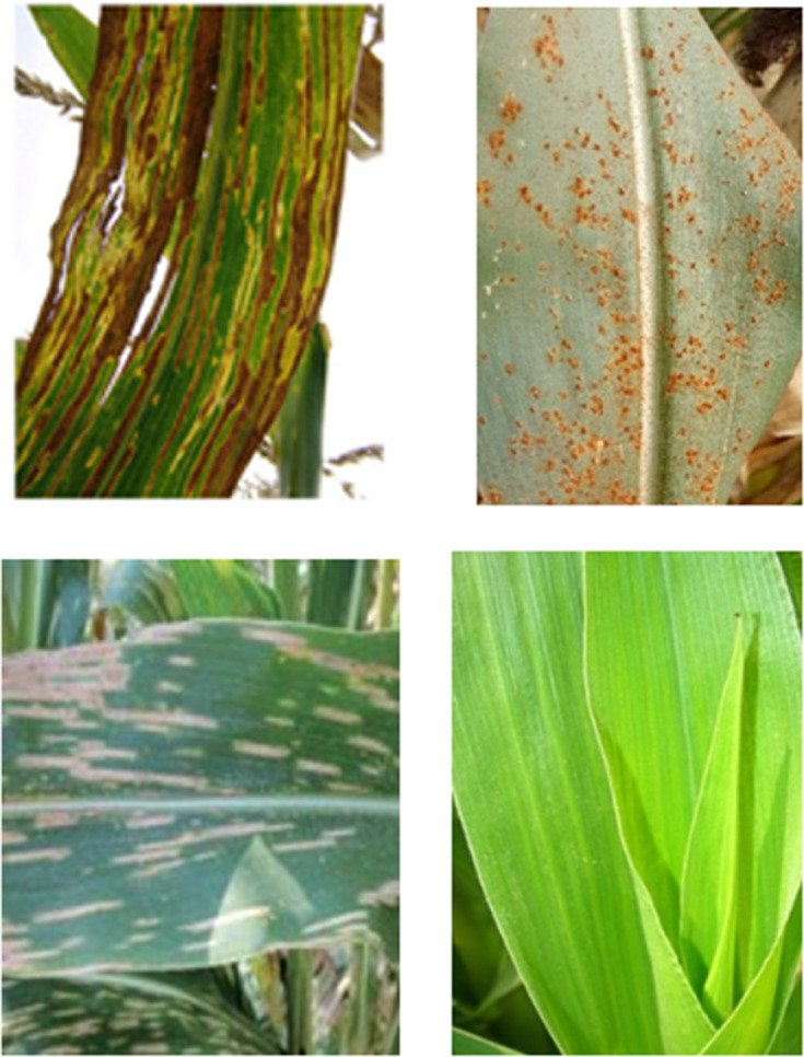 Figure 23